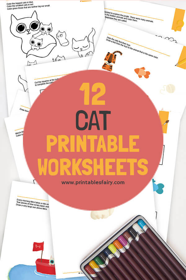 Cat Pre-K Worksheets