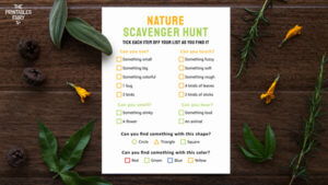 Nature Scavenger Hunt Free Printable - The Printables Fairy