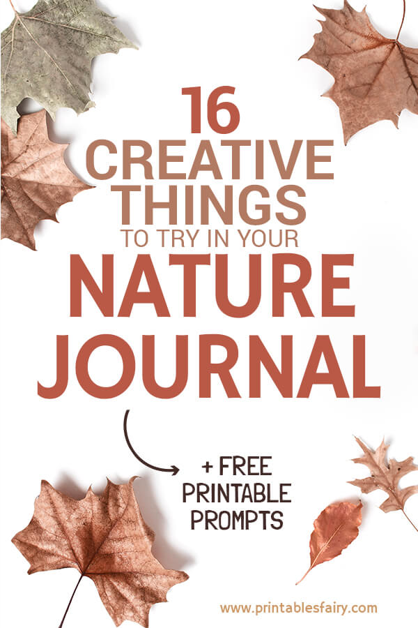 Creative ideas for your nature journal