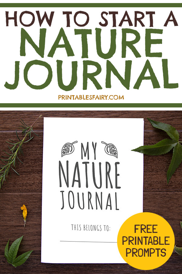 The ultimate guide to nature journaling
