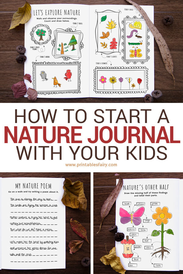 How to start a nature journal