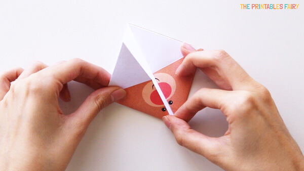 Fold the outter corners towards the top