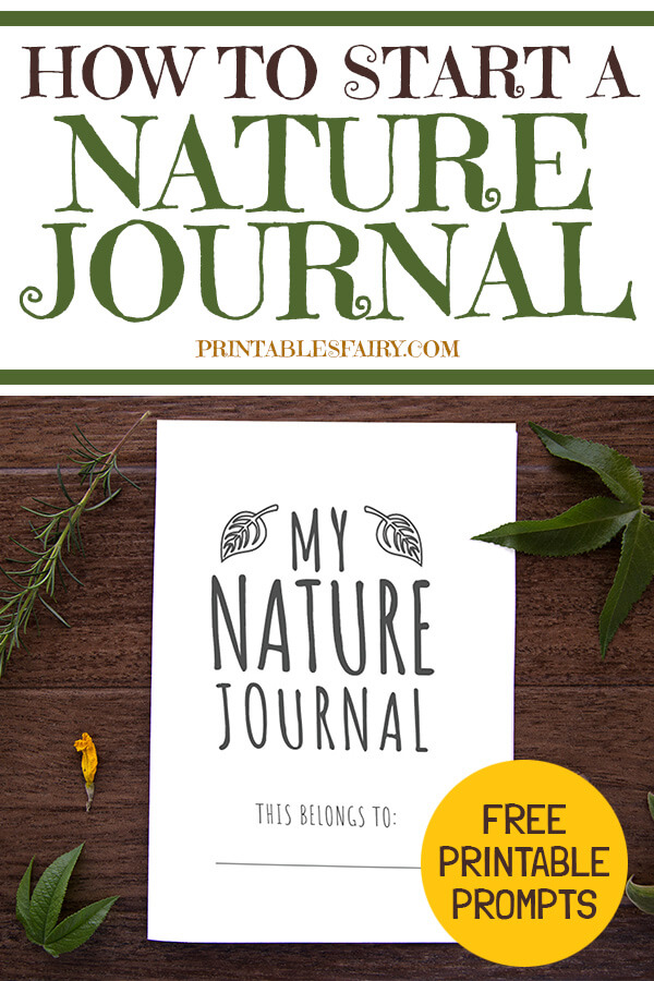 How to start Nature Journaling
