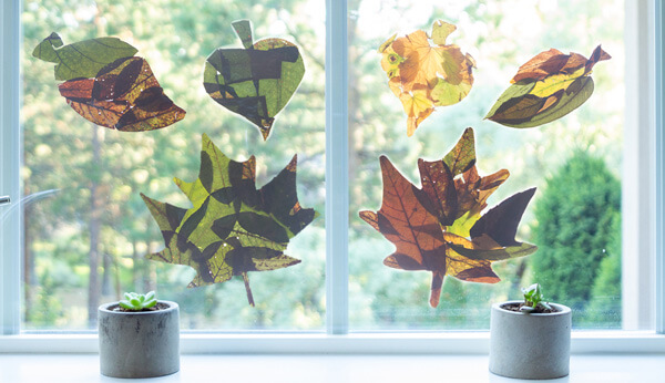 Leaf Suncatcher Craft