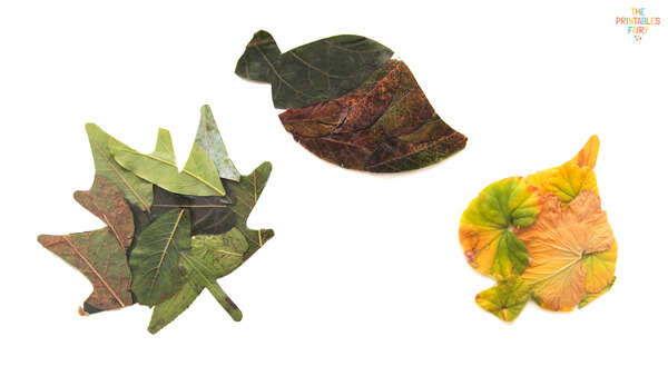 3 Leaf suncatchers made with real leaves