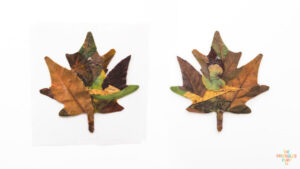 Leaf Suncatcher Craft - The Printables Fairy