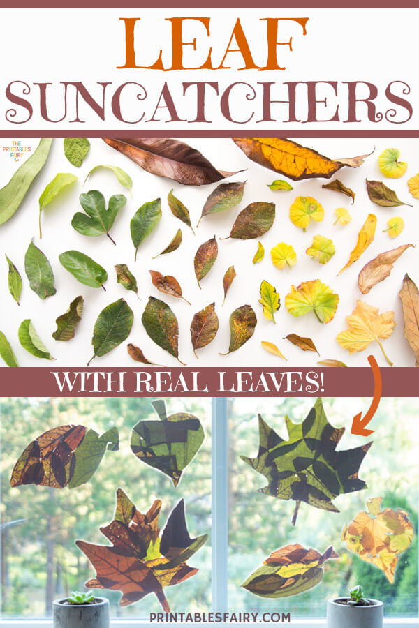 Leaf Suncatchers with real leaves!