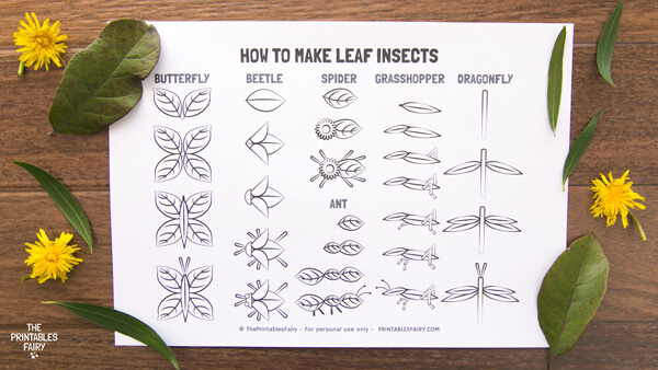 Leaf Bugs Craft